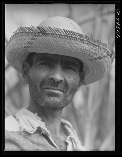 Yauco, Puerto Rico (vicinity). Farm laborer who was cutting cane in a sugar field