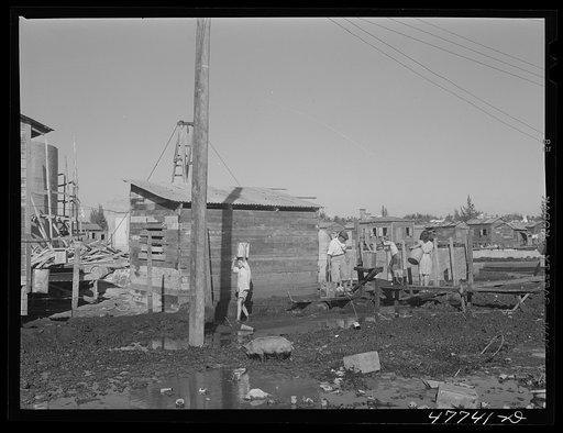 San Juan, Puerto Rico. Fetching water from a spigot which services many people in the huge slum area known as "El Fangitto" ("the mud"). The people must wade through the mud to get to the water spigot