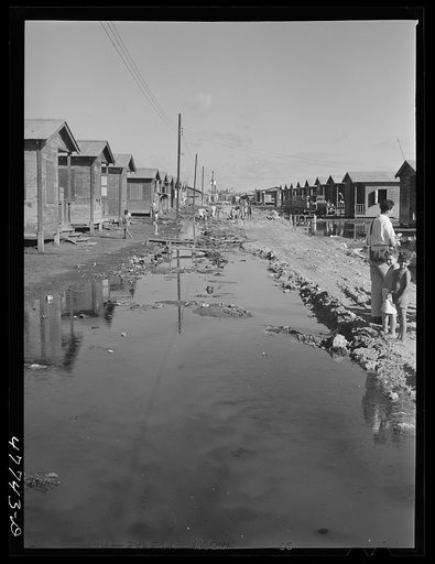 Untitled photo, possibly related to: San Juan, Puerto Rico. In the huge slum area known as "El Fangitto" ("the mud")