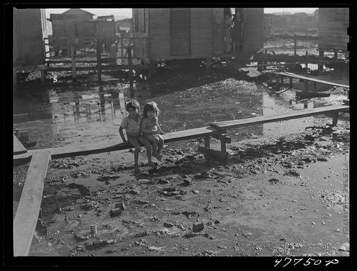San Juan, Puerto Rico. Children living in the huge slum area known as "El Fangitto." Improvised "bridges" have been constructed throughout the area as the only means of walking about without wading through the mud, which is very often waist high