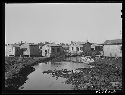 Untitled photo, possibly related to: San Juan, Puerto Rico. In the huge slum area known as "El Fangitto" ("the mud")