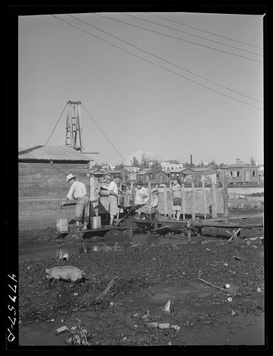 San Juan, Puerto Rico. Fetching water from a spigot which services people who live in the huge slum area known as "El Fangitto." The people must wade through the mud to get to the water spigot