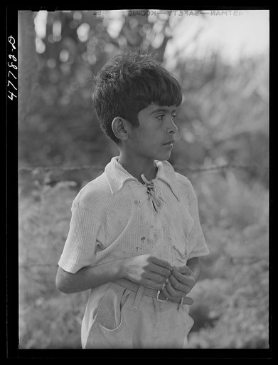 Untitled photo, possibly related to: Yauco, Puerto Rico (vicinity). Son of a sugar cane worker