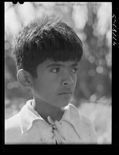 Untitled photo, possibly related to: Yauco, Puerto Rico (vicinity). Son of a sugar cane worker