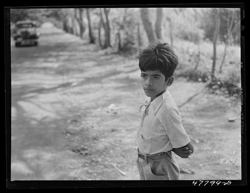 Yauco, Puerto Rico (vicinity). Young boy waiting for his father who is working in a field
