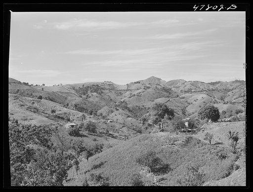Yauco, Puerto Rico (vicinity). Hill farms