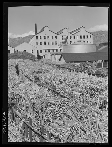 Untitled photo, possibly related to: Ensenada, Puerto Rico. Sugar mill or "central" of the South Puerto Rico Sugar Company