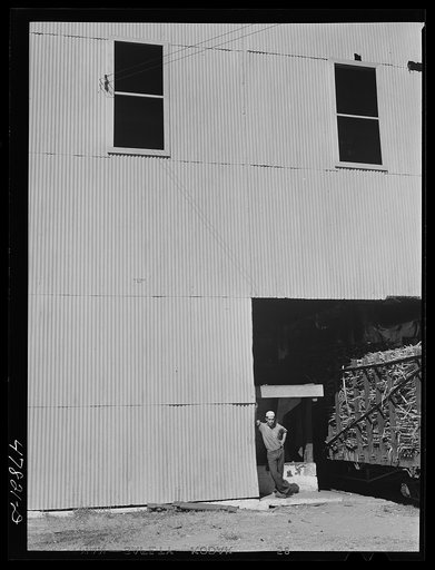 Untitled photo, possibly related to: Ensenada, Puerto Rico. Carloads of sugar cane at the South Puerto Rico Sugar Company