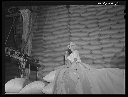 Untitled photo, possibly related to: Ensenada, Puerto Rico. Workmen at the South Puerto Rico Sugar Company waiting for more bags of sugar to come down for them to store in this warehouse