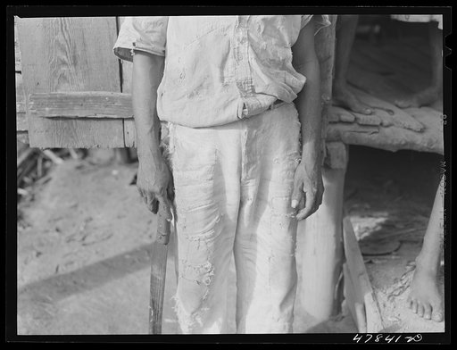 Untitled photo, possibly related to: Yauco, Puerto Rico (vicinity). FSA (Farm Security Administration) borrower