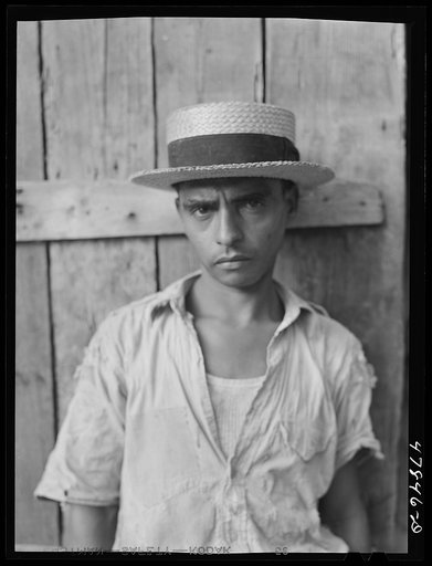Untitled photo, possibly related to: Yauco, Puerto Rico (vicinity). FSA (Farm Security Administration) borrower