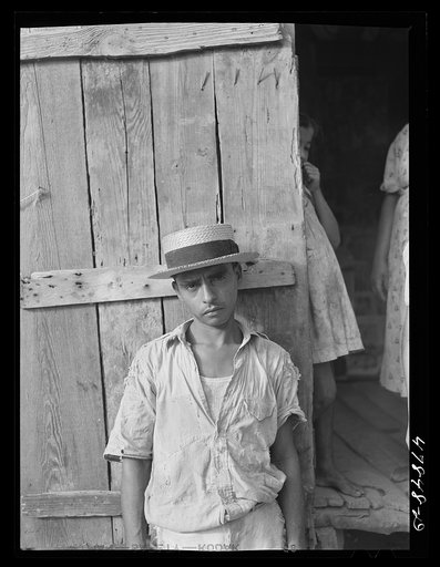 Yauco, Puerto Rico (vicinity). FSA (Farm Security Administration) borrower