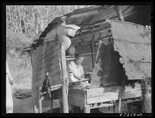 Yauco, Puerto Rico. Kitchen of a FSA (Farm Security Administration) borrower's house in the hills