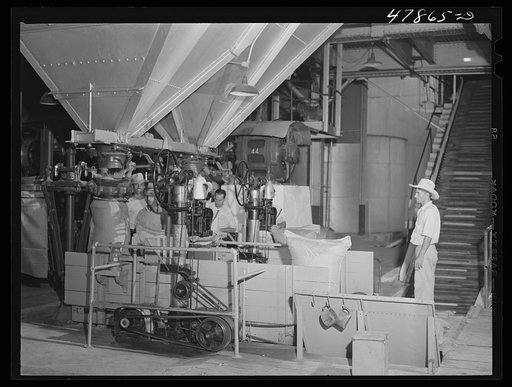 Ensenada, Puerto Rico. Weighing and sewing bags of sugar at the South Puerto Rico Sugar Company