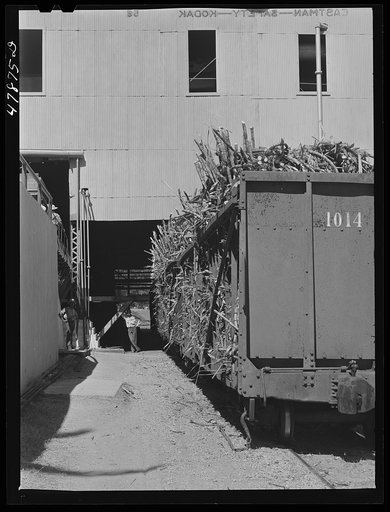 Untitled photo, possibly related to: Ensenada, Puerto Rico. Sugar mill or "central" of the South Puerto Rico Sugar Company