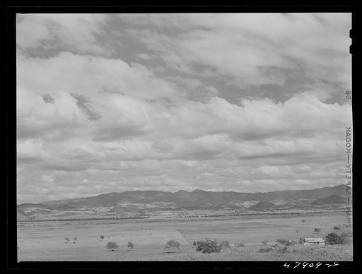 In the flat cattle country in the southwestern tip of Puerto Rico