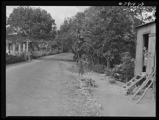 Untitled photo, possibly related to: Lajas, Puerto Rico (vicinity). Coffee laborer's company house