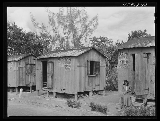 Lajas, Puerto Rico (vicinity). Coffee laborers' company houses