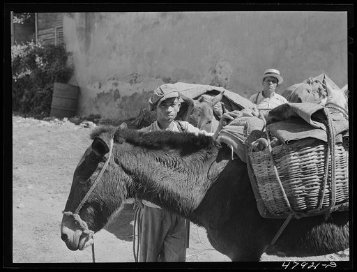 Untitled photo, possibly related to: Yauco, Puerto Rico (vicinity). Farmers from the hills with provisions bought in town to take home