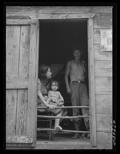 Untitled photo, possibly related to: San German, Puerto Rico (vicinity). Farm laborer's family in the hills
