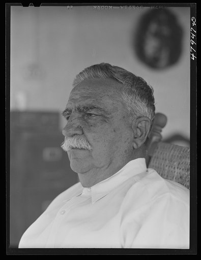Untitled photo, possibly related to: Guanica, Puerto Rico (vicinity). Don Luis Quinones, member of an old Puerto Rican family. His house was used as headquarters by the American forces of occupation in the Spanish-American War. He is the father of a FSA (Farm Security Administration) supervisor