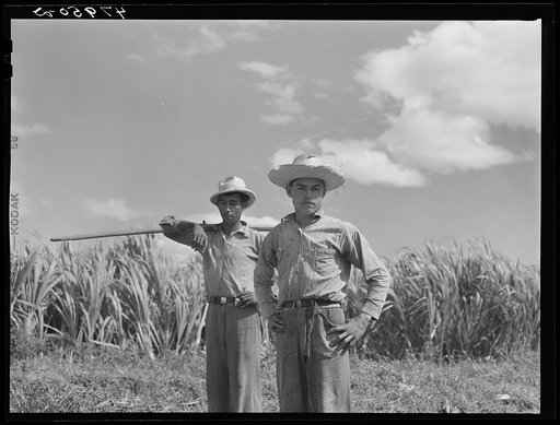 Untitled photo, possibly related to: Guanica, Puerto Rico (vicinity). Along a country road