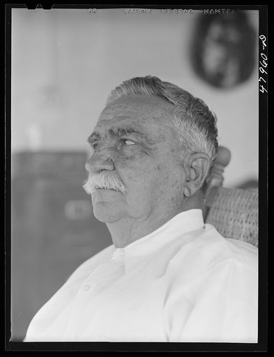Untitled photo, possibly related to: Guanica, Puerto Rico (vicinity). Don Luis Quinones, member of an old Puerto Rican family. His house was used as headquarters by the American forces of occupation in the Spanish-American War. He is the father of a FSA (Farm Security Administration) supervisor