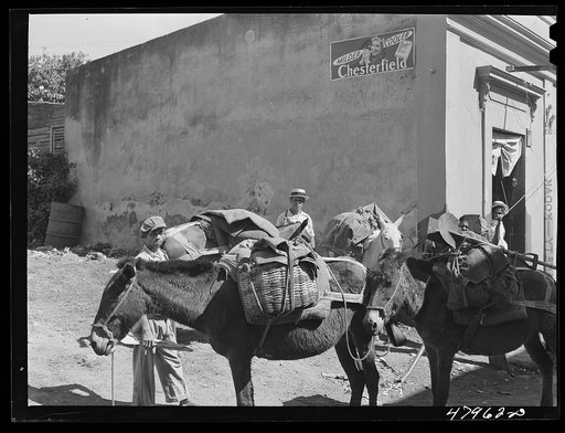 Yauco, Puerto Rico (vicinity). Farmers from the hills with provisions bought in town to take home
