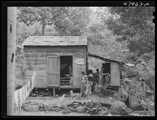 Untitled photo, possibly related to: San German (vicinity). Farm laborer's family in the hills
