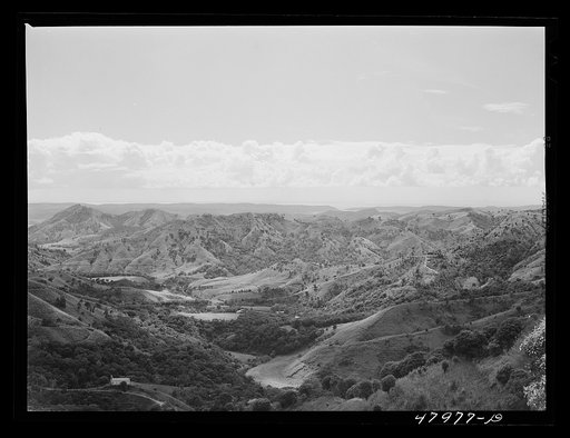 Untitled photo, possibly related to: Guanica, Puerto Rico. Landscape of country looking south toward the town. The southwestern coast of Puerto Rico is in the background