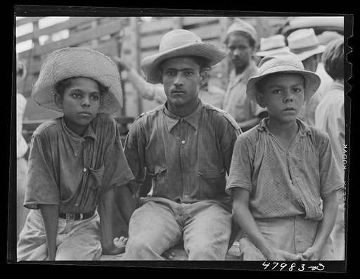 Untitled photo, possibly related to: San Sebastian, Puerto Rico (vicinity). Farmer's son on a road