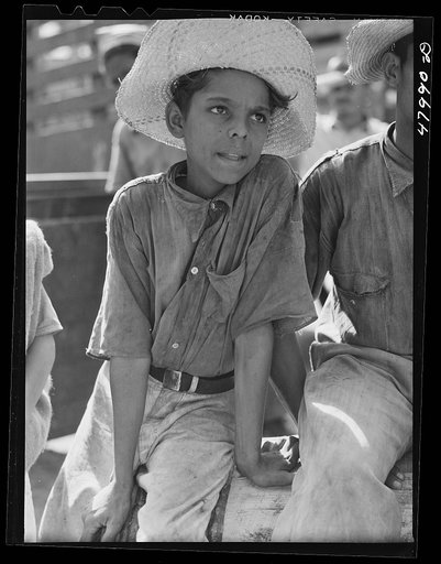 Untitled photo, possibly related to: San Sebastian, Puerto Rico (vicinity). Farmer's son on a road