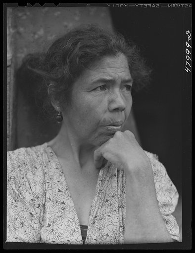 Utuado, Puerto Rico (vicinity). Farm laborer's wife who was being interviewed for eligibility in FSA (Farm Security Administration)'s farm labor program