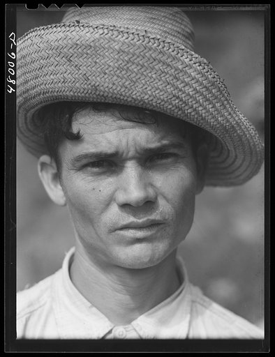 Untitled photo, possibly related to: Utuado, Puerto Rico (vicinity). FSA (Farm Security Administration) borrower living in the hills