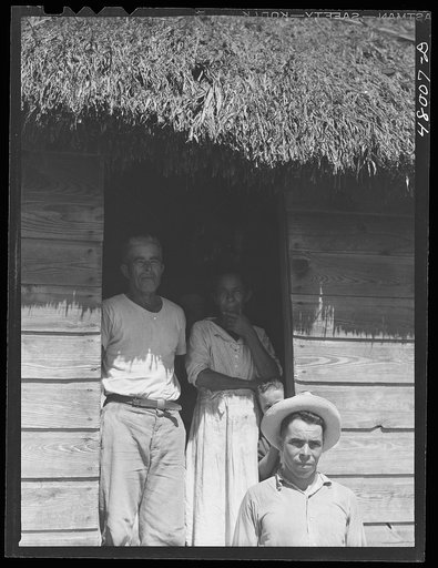 Untitled photo, possibly related to: Arecibo, Puerto Rico (vicinity). Farm woman preparing bottles of coffee to be taken to her husband and children working in the fields