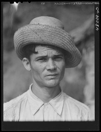 Untitled photo, possibly related to: Utuado, Puerto Rico (vicinity). FSA (Farm Security Administration) borrower living in the hills