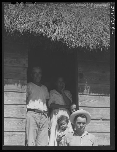 Untitled photo, possibly related to: Arecibo, Puerto Rico (vicinity). Farm woman preparing bottles of coffee to be taken to her husband and children working in the fields