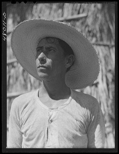 Untitled photo, possibly related to: Arecibo, Puerto Rico (vicinity). Tenant farmer who lives in a thatched house in the sugar cane country