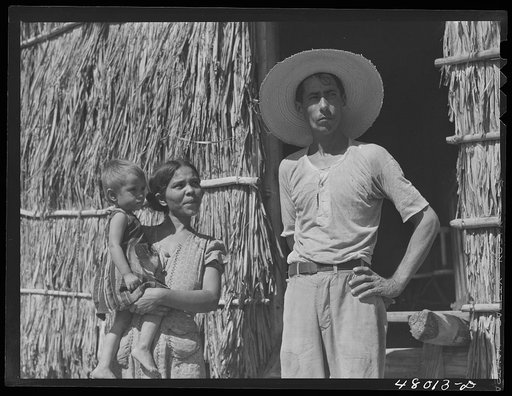 Arecibo, Puerto Rico (vicinity). Tenant farmer and his family