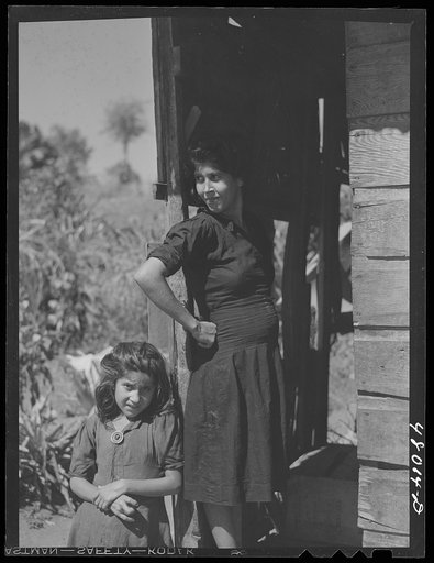 Untitled photo, possibly related to: San Sebastian, Puerto Rico (vicinity). Four persons live in the shack. All are farm laborers working in the nearby cane fields