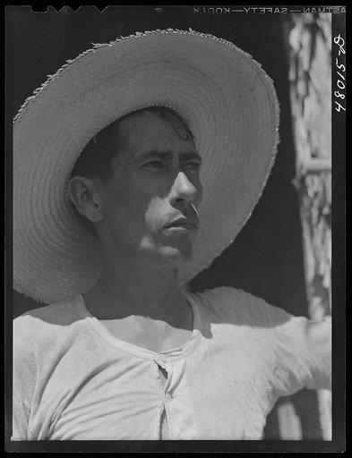 Arecibo, Puerto Rico (vicinity). Tenant farmer who lives in a thatched house in the sugar cane country
