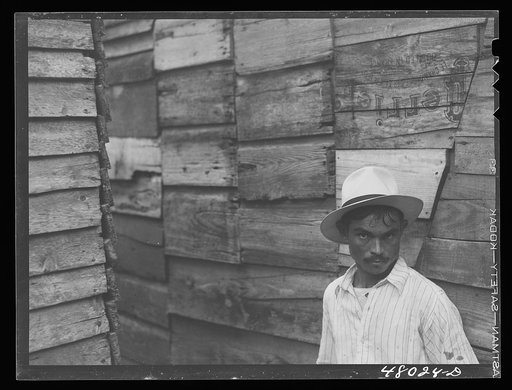 Untitled photo, possibly related to: Utuado, Puerto Rico. In the slum area