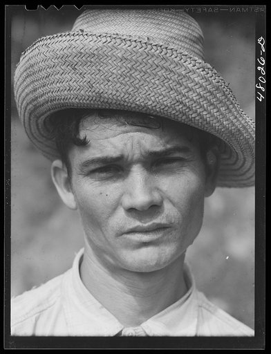 Utuado, Puerto Rico (vicinity). FSA (Farm Security Administration) borrower living in the hills