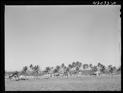 Camuy, Puerto Rico (vicinity). Along the northern sea coast near Camuy, Puerto Rico