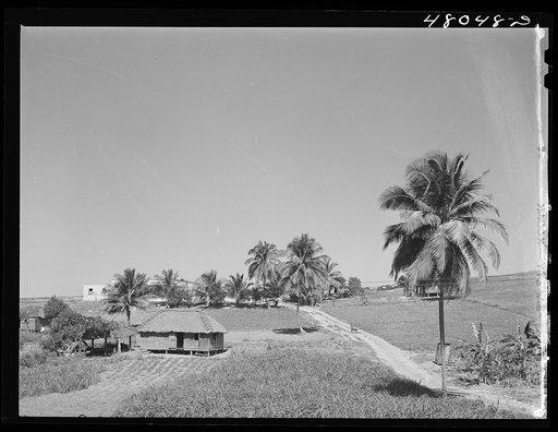 Camuy, Puerto Rico. Along the northern sea coast near Camuy, Puerto Rico