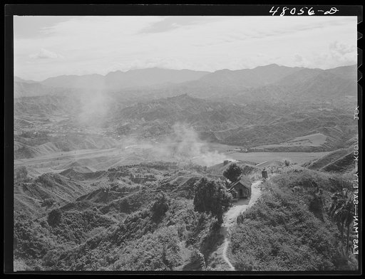 Utuado, Puerto Rico (vicinity). FSA (Farm Security Administration) borrower's house in the hills
