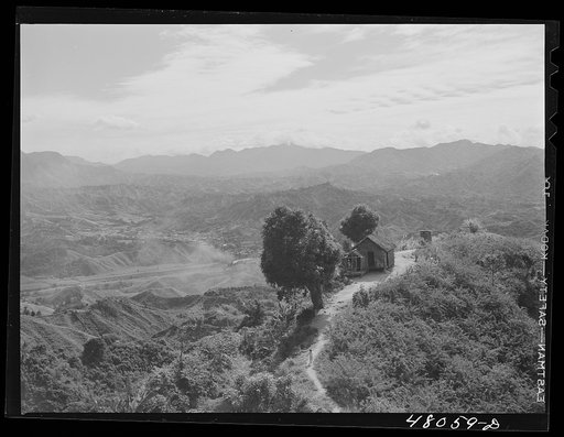 Untitled photo, possibly related to: Utuado, Puerto Rico (vicinity). FSA (Farm Security Administration) borrower's house in the hills