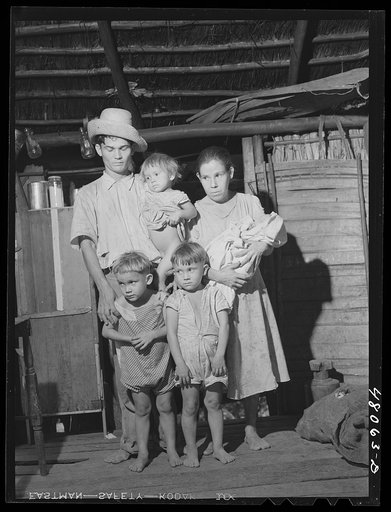 Untitled photo, possibly related to: Utuado, Puerto Rico (vicinity). FSA (Farm Security Administration) borrower and his family living in the hills