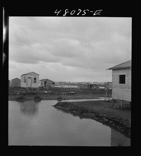 Untitled photo, possibly related to: San Juan, Puerto Rico. In the huge slum area known as "El Fangitto"