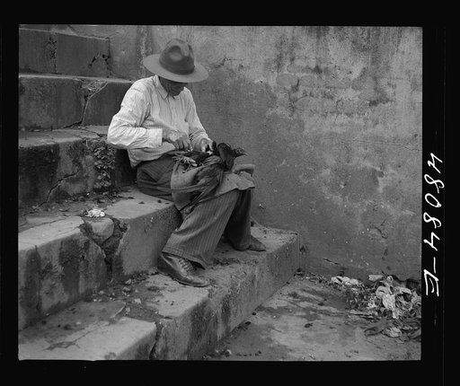 Utuado, Puerto Rico. Trimming a fighting cock in a street